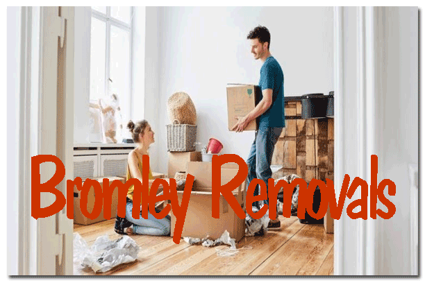 Bromley man and van moving company loading furniture