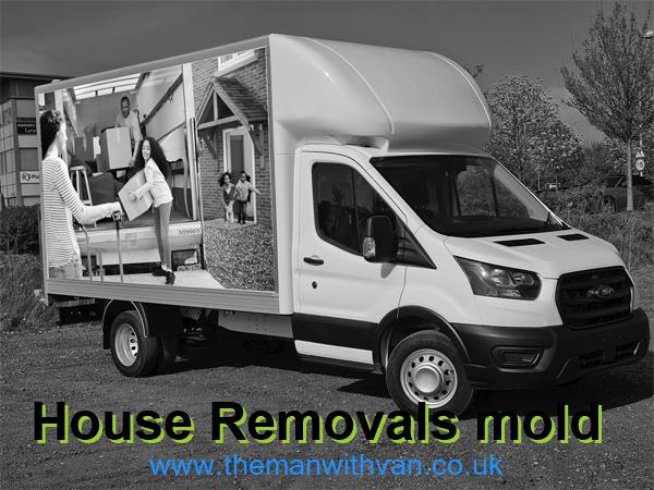 Mold removal company