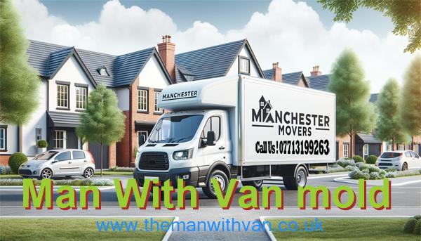 Mold man with van company
